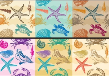 Beach Patterns - Free vector #373361